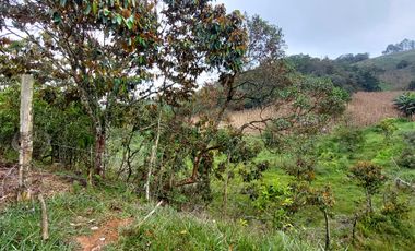 Se vende finca vereda la asuncion,marinilla