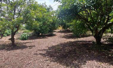 Se vende finca en alto del mercado,marinilla