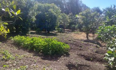 Se vende finca en alto del mercado,marinilla