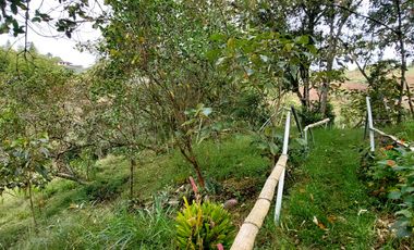 Se vende finca vereda cascajo arriba,marinilla