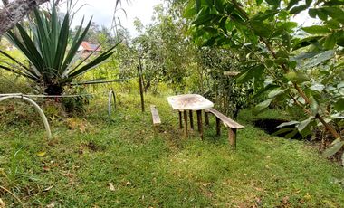 Se vende finca vereda cascajo arriba,marinilla