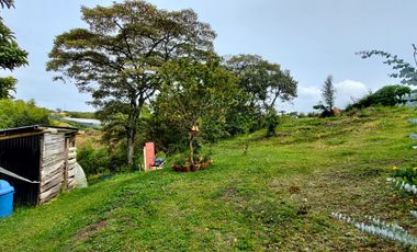 Se vende finca vereda cascajo arriba,marinilla
