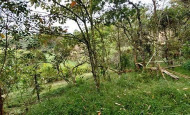 Se vende finca vereda cascajo arriba,marinilla