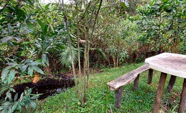 Se vende finca vereda cascajo arriba,marinilla