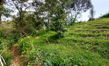 Se vende finca vereda cascajo arriba,marinilla