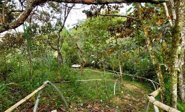 Se vende finca vereda cascajo arriba,marinilla