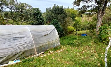 Se vende finca vereda cascajo arriba,marinilla