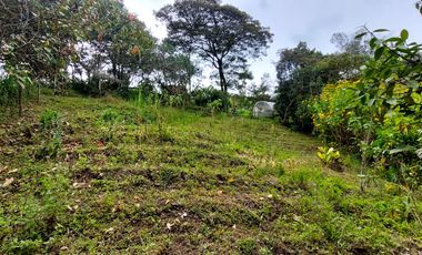 Se vende finca vereda cascajo arriba,marinilla