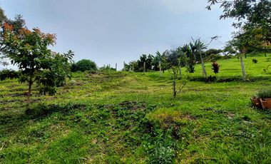 Se vende finca vereda cascajo arriba,marinilla