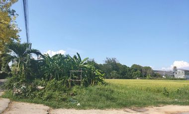 Land for sale in Nong Chom, Chiang Mai