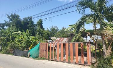 Land for sale in Nong Chom, Chiang Mai