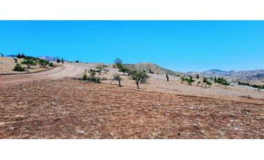 Parcela En Venta En Llaillay