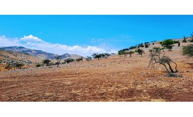 Parcela En Venta En Llaillay