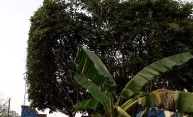 VENDE CASA MORELOS