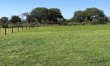 Terreno - Villa Anisacate