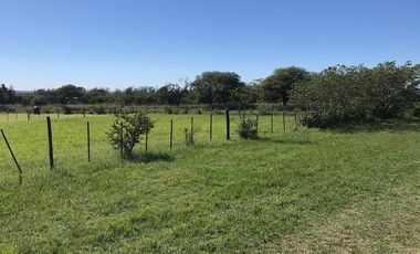 Terreno - Villa Anisacate