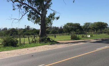 Terreno - Villa Anisacate