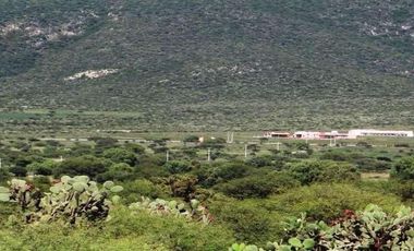 Rancho San Isidro Terreno 94.8 hectáreas en Venta en Colón, Querétaro, México