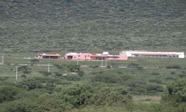 Rancho San Isidro Terreno 94.8 hectáreas en Venta en Colón, Querétaro, México