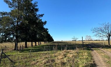 Terreno 134 HA- Florencio Varela -