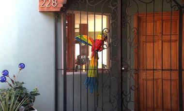 Residencia Exclusiva En Venta, en Pedregal Playitas , Ensenada | BC