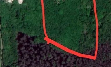 TERRENO EN VENTA EN CARRETERA CARMEN PUERTO REAL