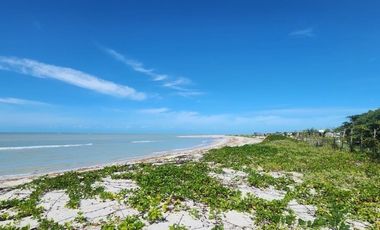 EXCELENTE TERRENO EN VENTA EN ISLA AGUADA,CARMEN CAMPECHE.