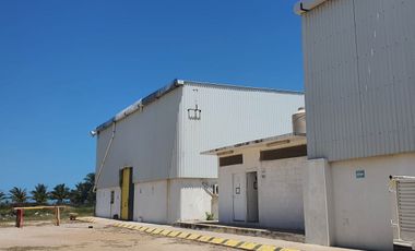 RENTA DE BODEGA PATIO EN CIUDAD DEL CARMEN
