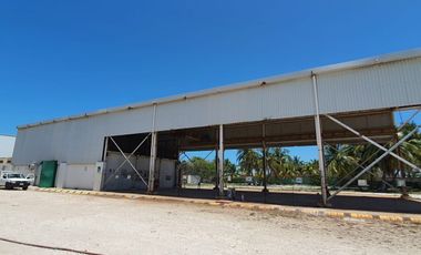 RENTA DE BODEGA PATIO EN CIUDAD DEL CARMEN