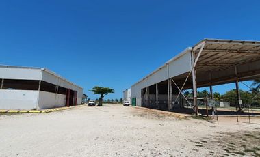 RENTA DE BODEGA PATIO EN CIUDAD DEL CARMEN