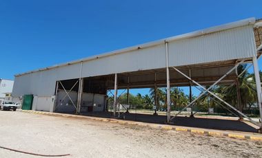 RENTA DE BODEGA PATIO EN CIUDAD DEL CARMEN