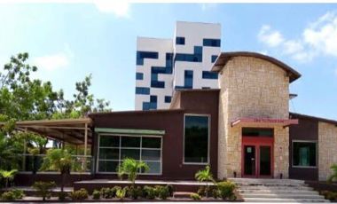 LOCAL COMERCIAL EN RENTA