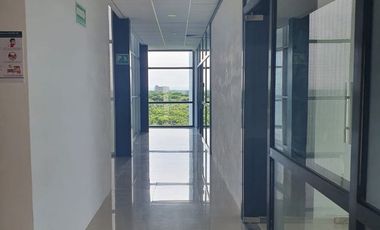 EDIFICIO EN RENTA EN CIUDAD DEL CARMEN CAMPECHE