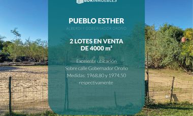 VENTA 2 LOTES PUEBLO ESTHER. METROS RUTA.  JUNTOS (4000 M2) O SEPARADOS (2000 M2 C/U)