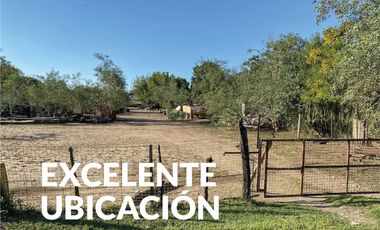 VENTA 2 LOTES PUEBLO ESTHER. METROS RUTA.  JUNTOS (4000 M2) O SEPARADOS (2000 M2 C/U)