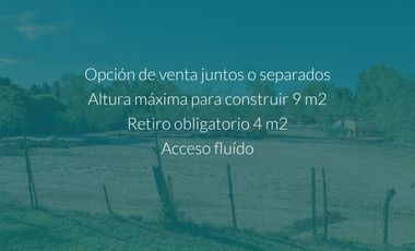 VENTA 2 LOTES PUEBLO ESTHER. METROS RUTA.  JUNTOS (4000 M2) O SEPARADOS (2000 M2 C/U)