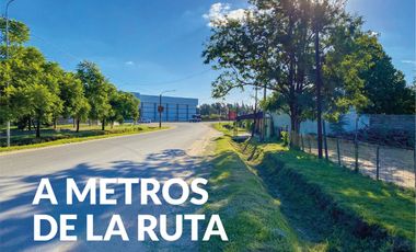 VENTA 2 LOTES PUEBLO ESTHER. METROS RUTA.  JUNTOS (4000 M2) O SEPARADOS (2000 M2 C/U)