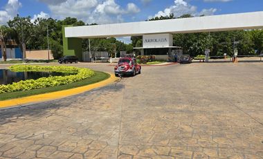 Local Comercial en Renta Av Huayacan Cancún