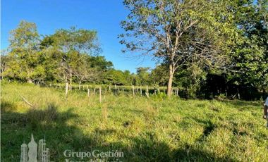 SE VENDE FINCA 2.3 HECTREAS