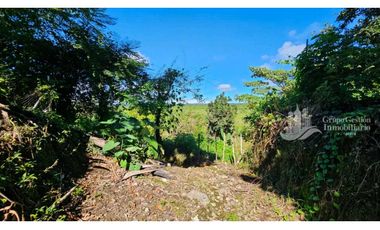 SE VENDE FINCA 2.3 HECTREAS