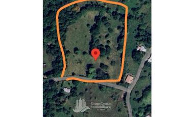 SE VENDE FINCA 2.3 HECTREAS