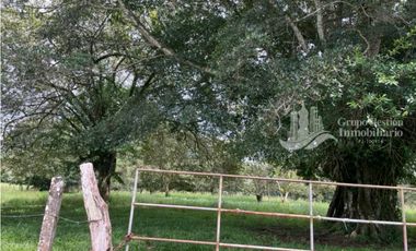 SE VENDE FINCA 2.3 HECTREAS