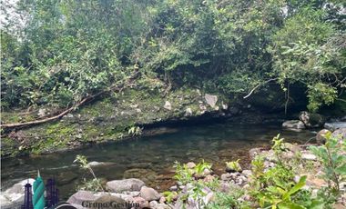 SE VENDE FINCA 2.3 HECTREAS