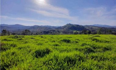 VENDO.FINCA DE 119 Hectareas Planas