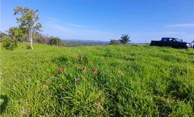 VENDO.FINCA DE 119 Hectareas Planas