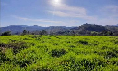 VENDO.FINCA DE 119 Hectareas Planas