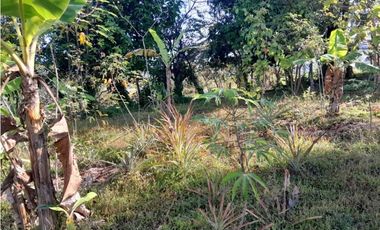 VENDO.FINCA DE 119 Hectareas Planas