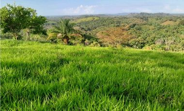 VENDO.FINCA DE 119 Hectareas Planas