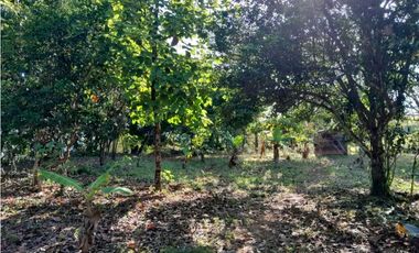 VENDO.FINCA DE 119 Hectareas Planas