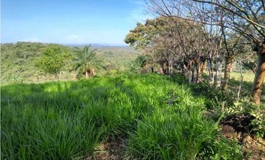 VENDO.FINCA DE 119 Hectareas Planas